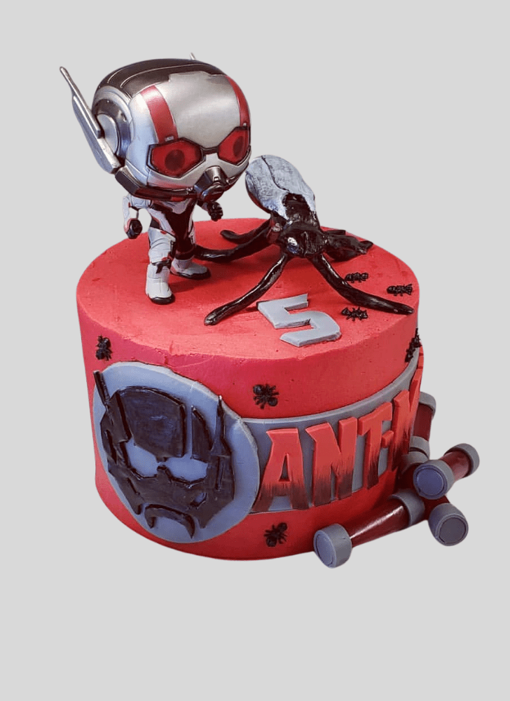 Mesmeric Ant-Man Cake