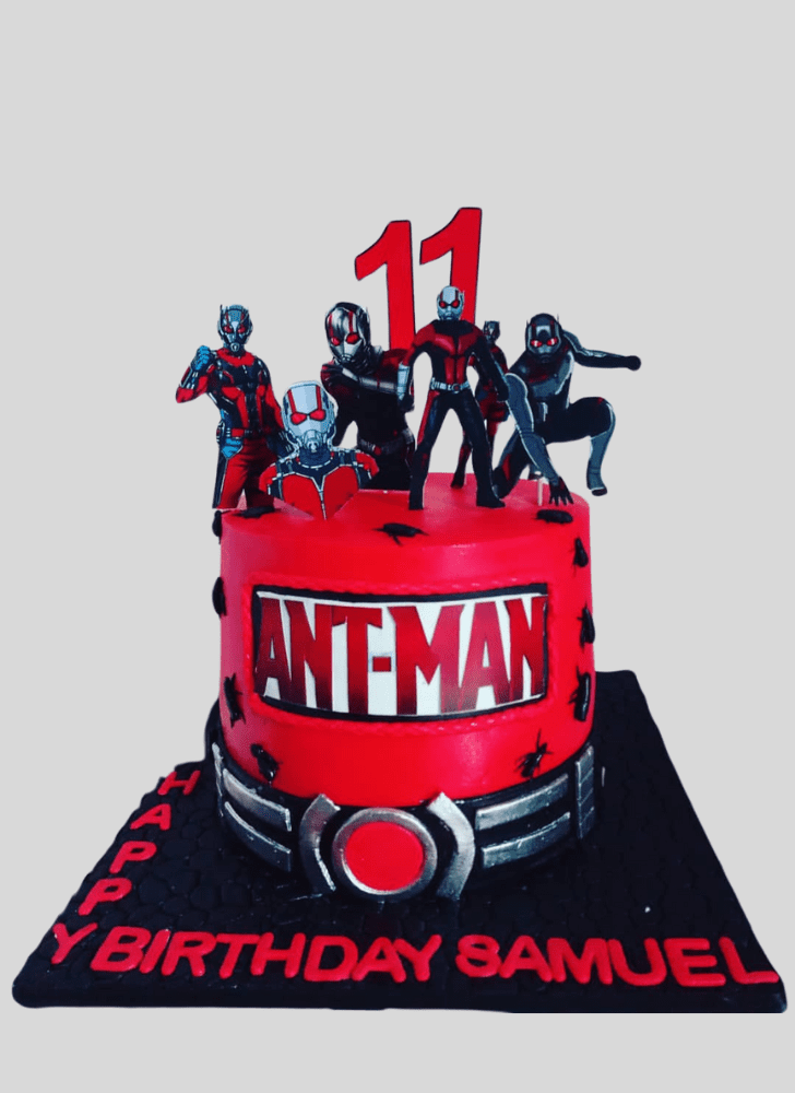 Nice Ant-Man Cake