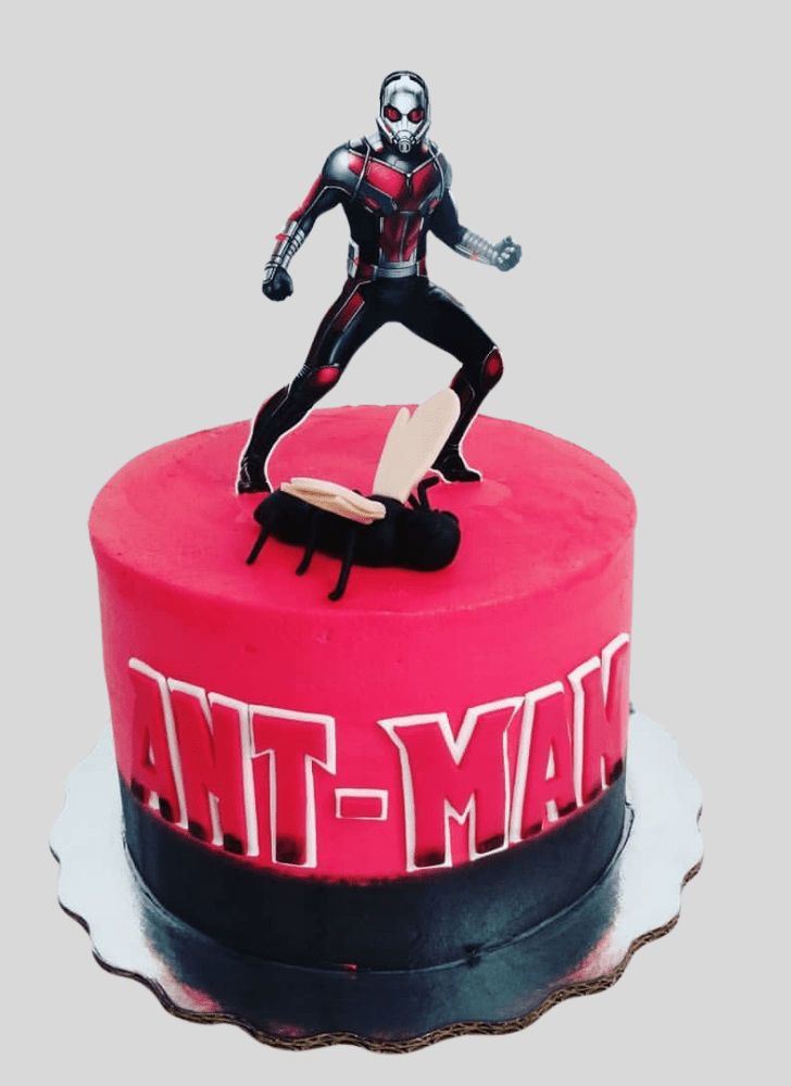 Refined Ant-Man Cake