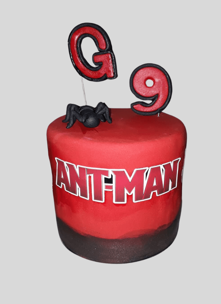 Wonderful Ant-Man Cake Design