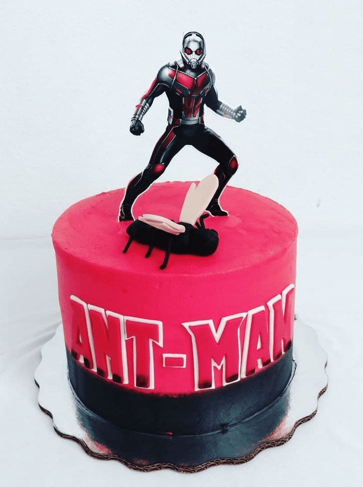 Admirable Antman Cake Design