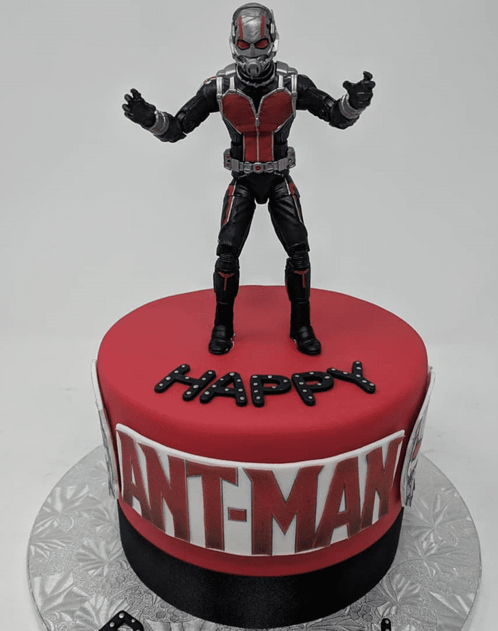 Handsome Antman Cake