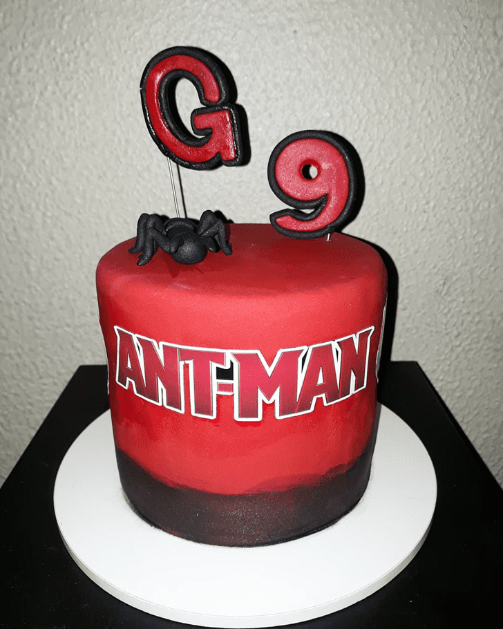 Pretty Antman Cake