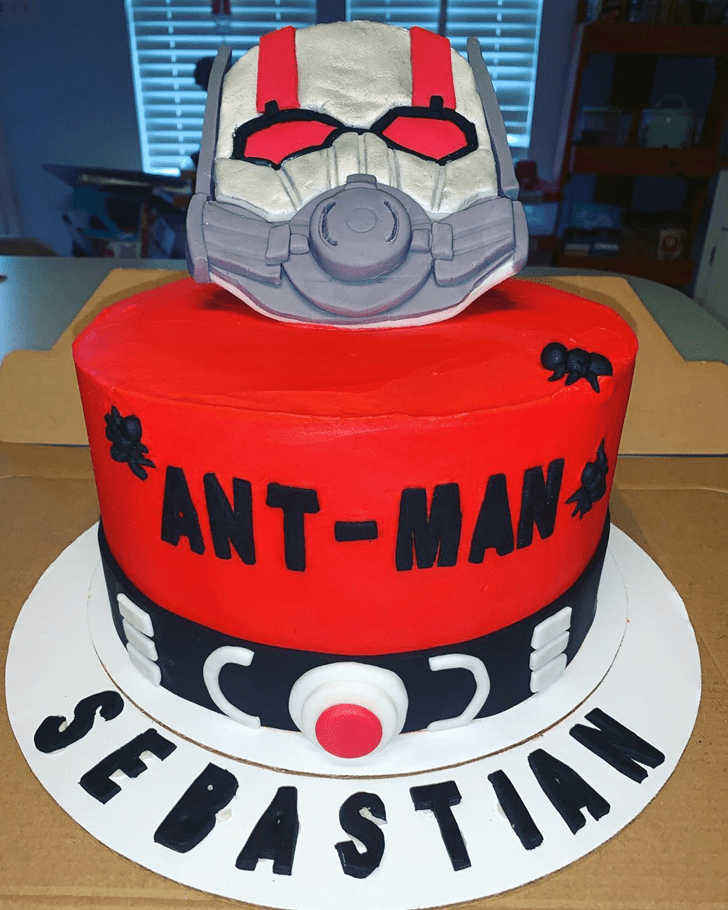 Slightly Antman Cake