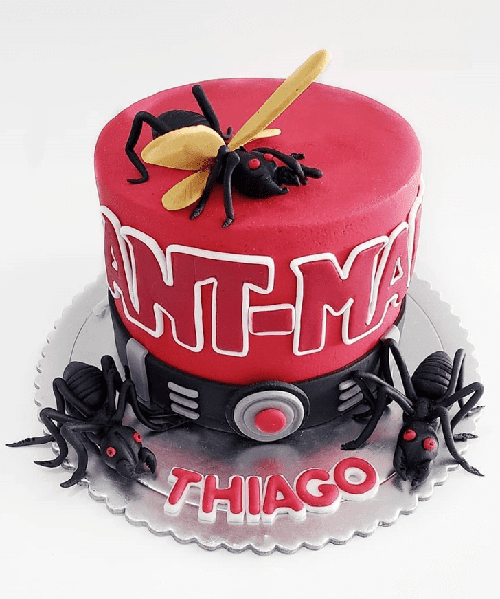 Wonderful Antman Cake Design