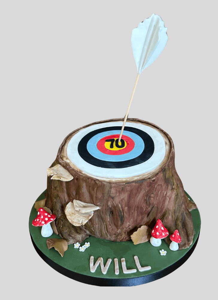 Exquisite Archery Cake