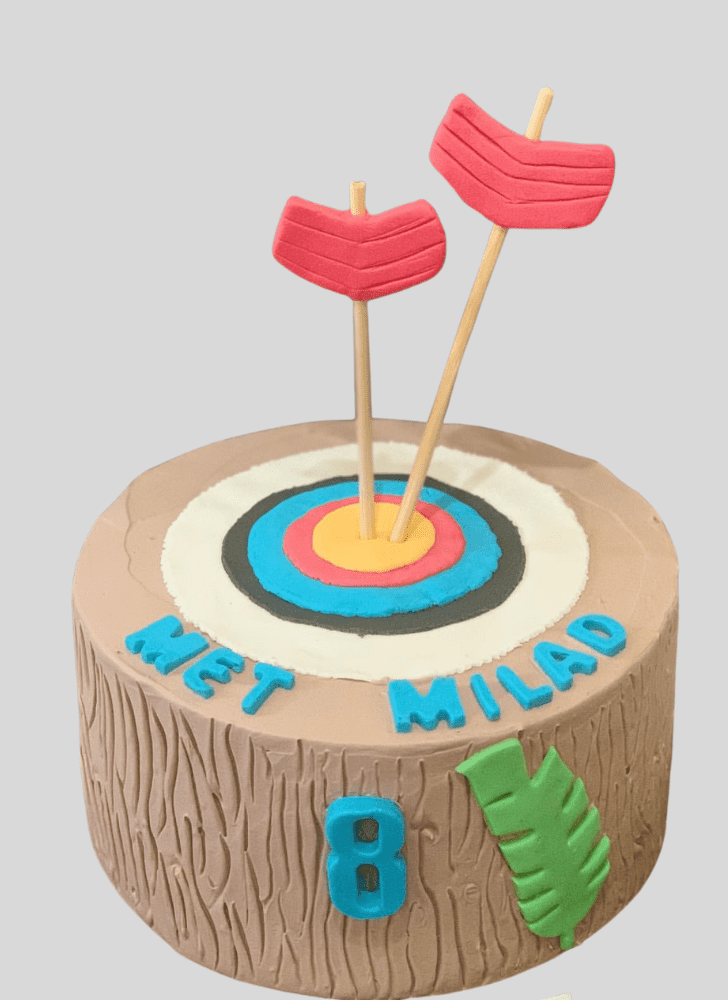 Magnetic Archery Cake