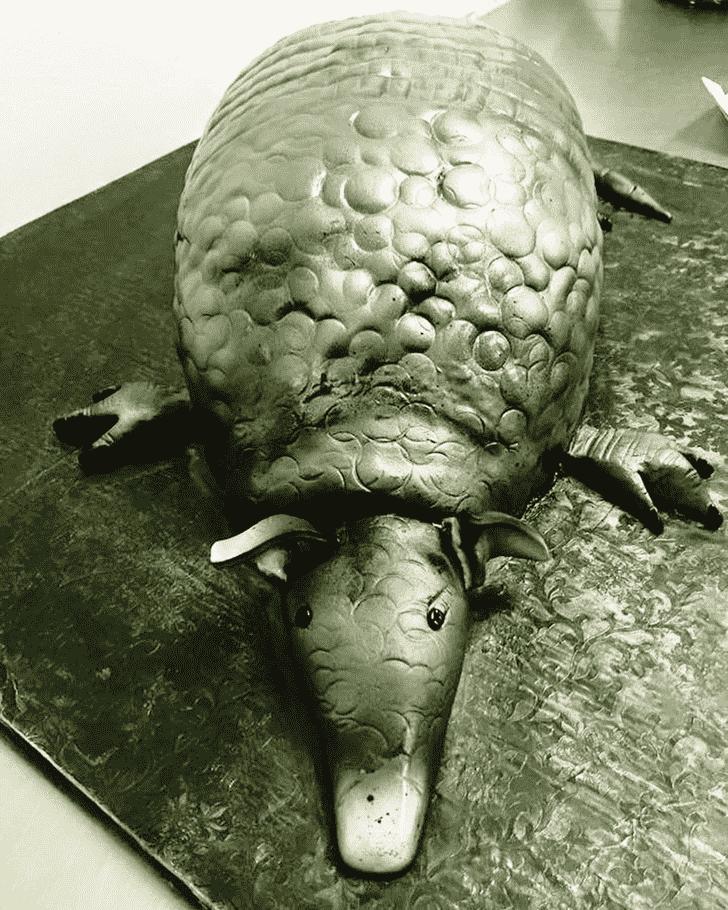 Comely Armadillo Cake