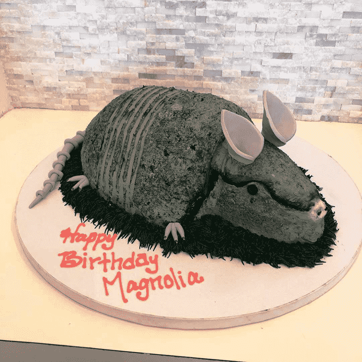 Inviting Armadillo Cake