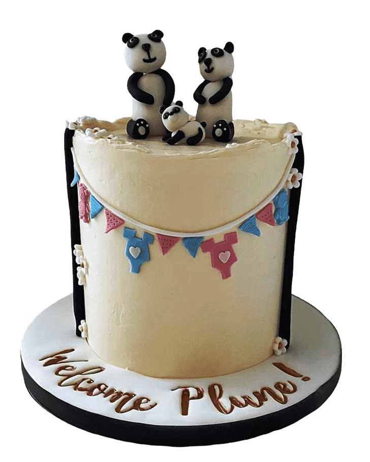 Wonderful Baby Panda Cake Design