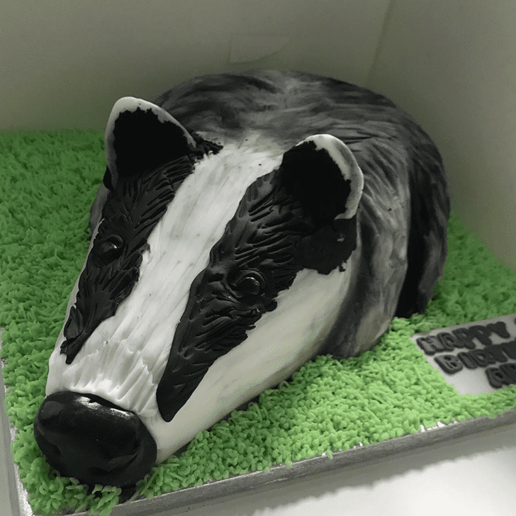 Admirable Badger Cake Design