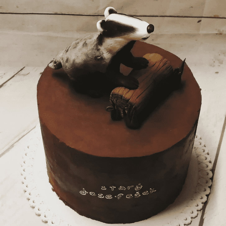 Bewitching Badger Cake