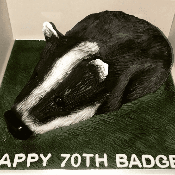 Comely Badger Cake