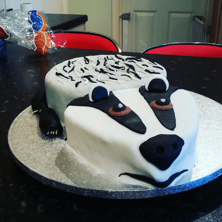 Dazzling Badger Cake
