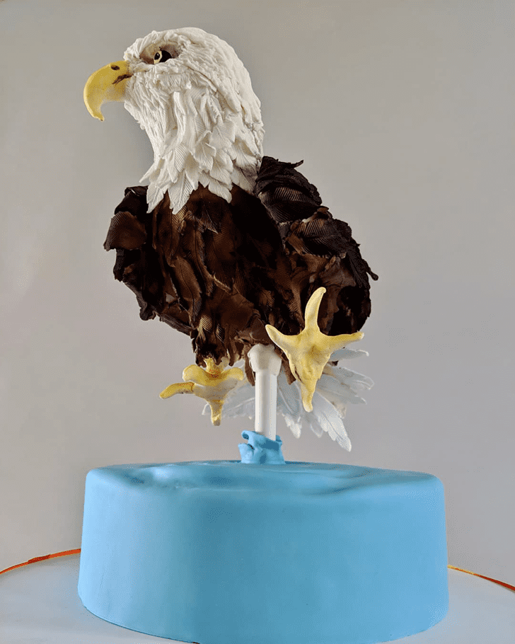 Adorable Bald Eagle Cake