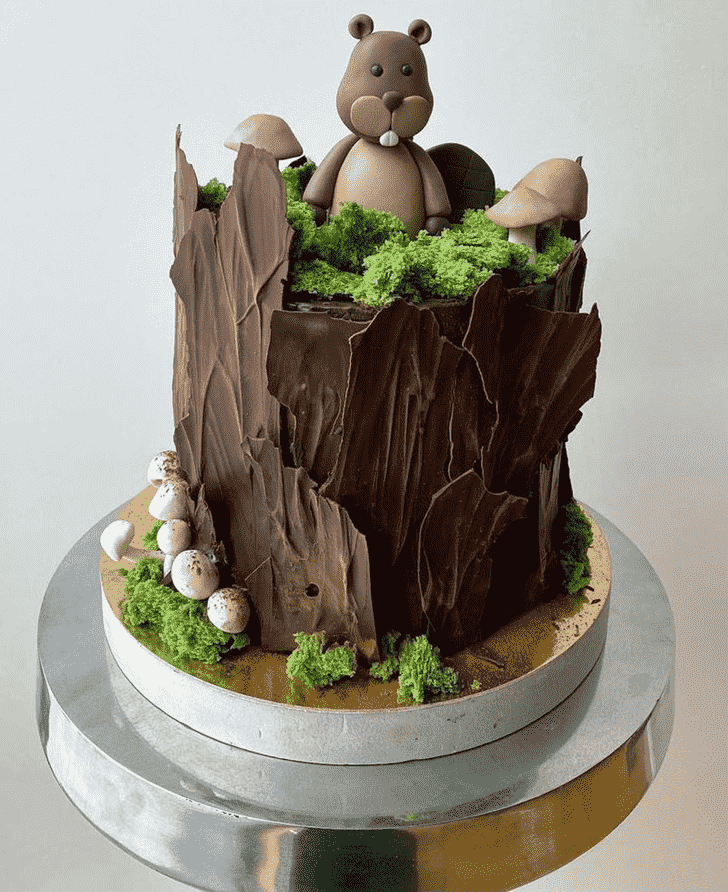 Dazzling Beaver Cake