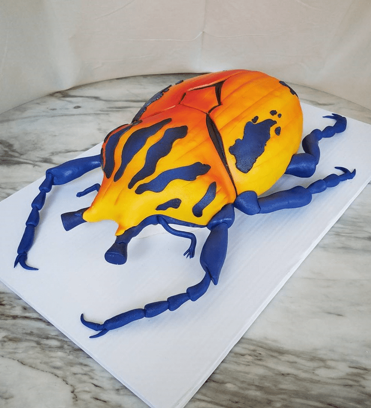 Alluring Beetle Cake