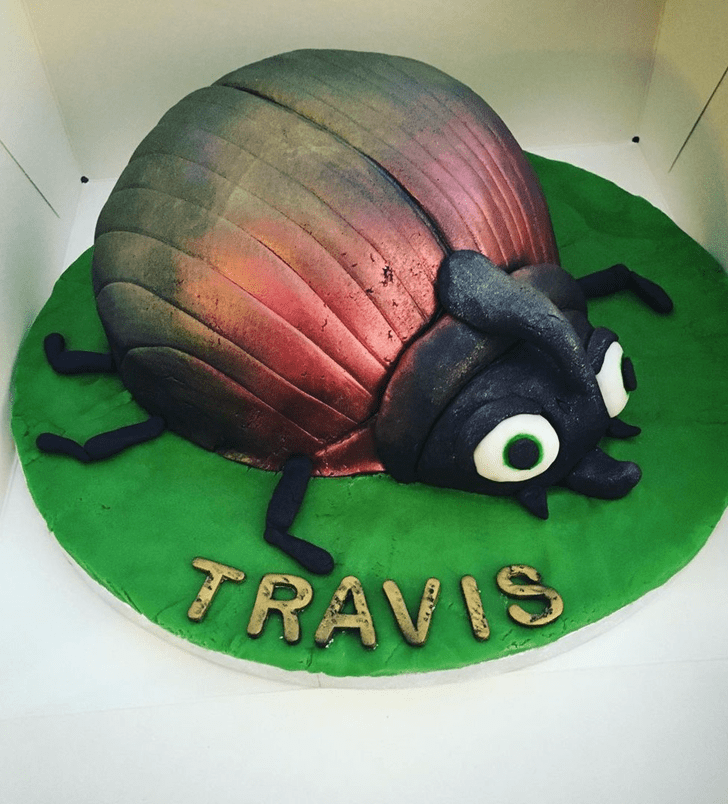 Dazzling Beetle Cake