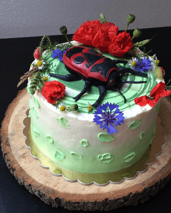 Delicate Beetle Cake