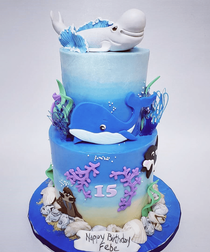 Admirable Beluga Cake Design