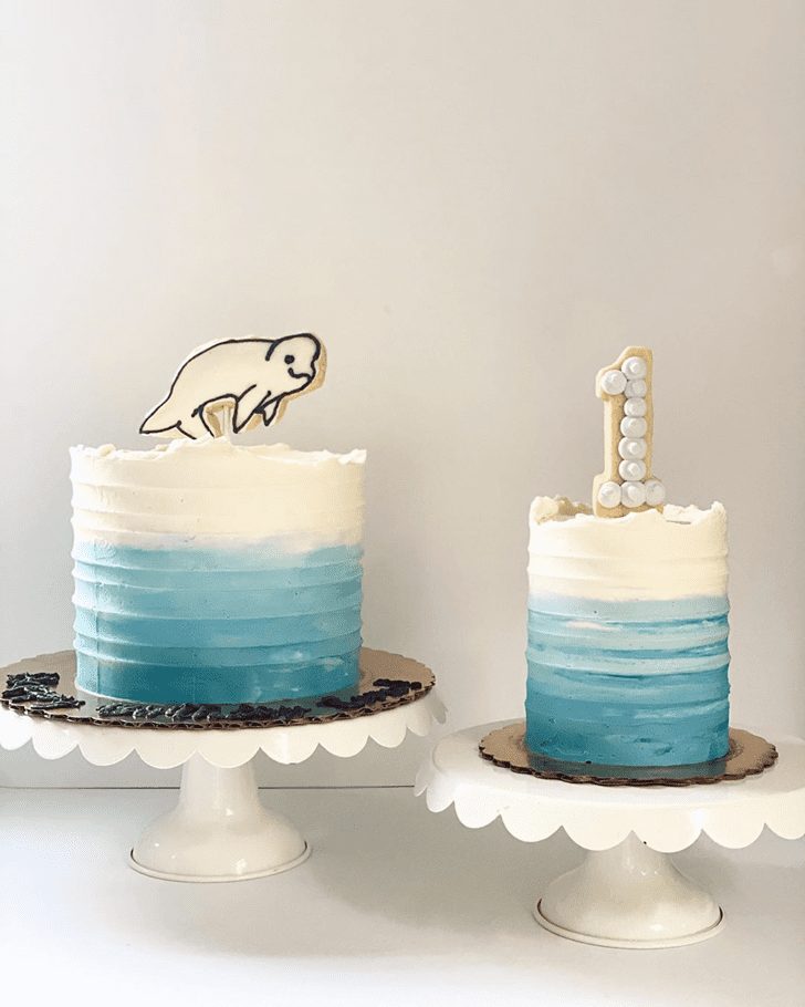 Appealing Beluga Cake