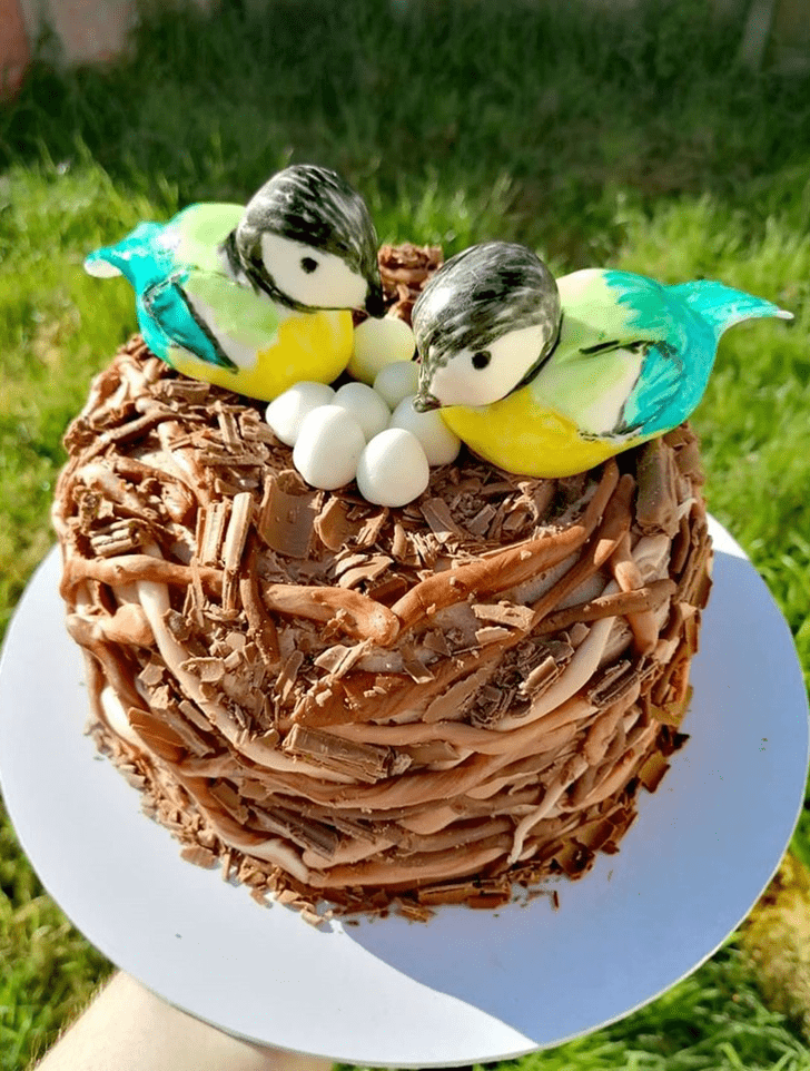 Exquisite Bird Cake