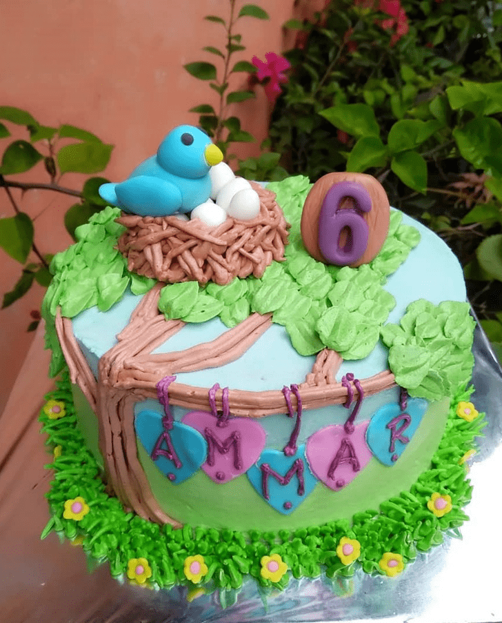 Fair Bird Cake