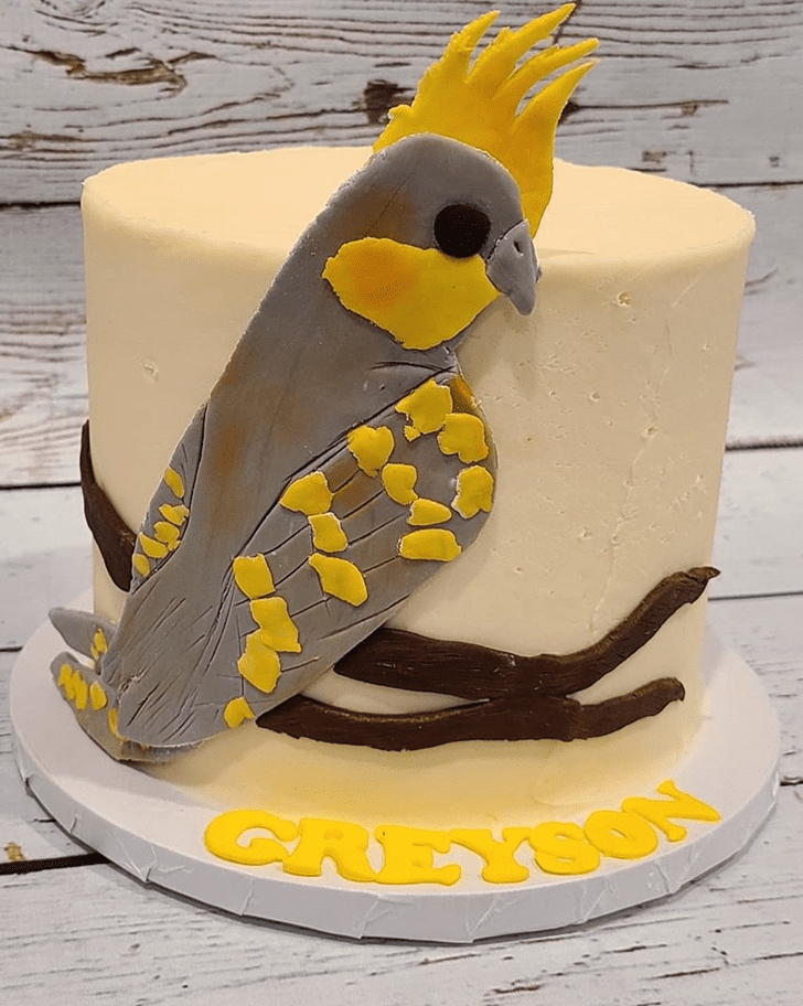 Inviting Bird Cake