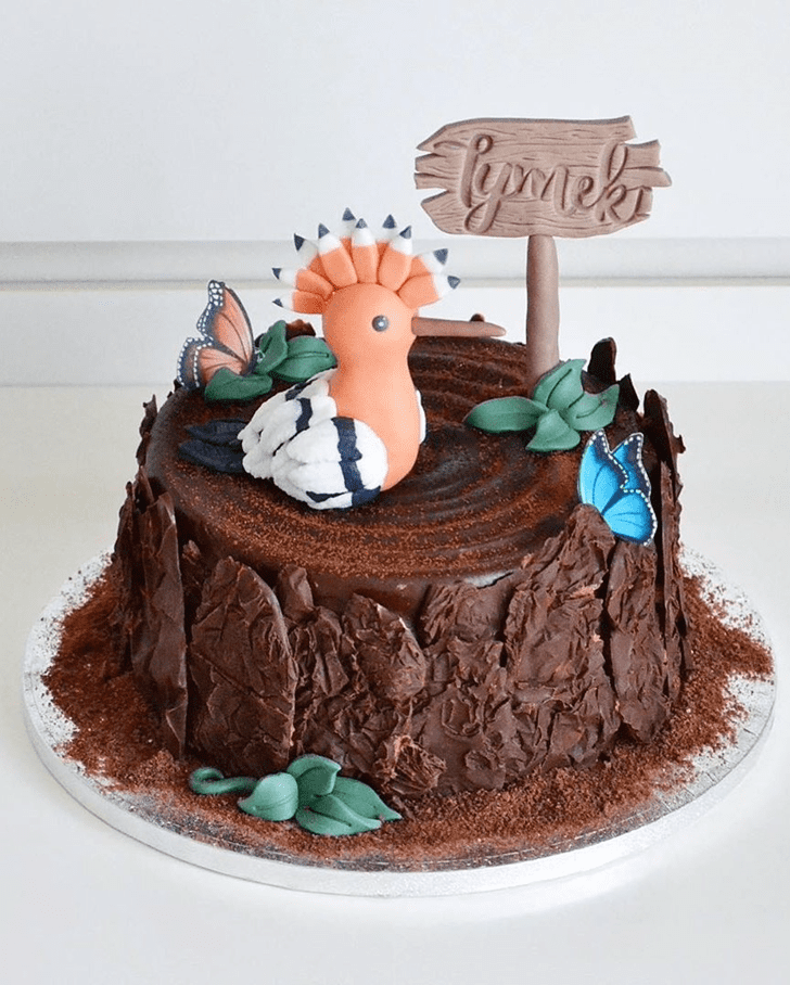 Lovely Bird Cake Design
