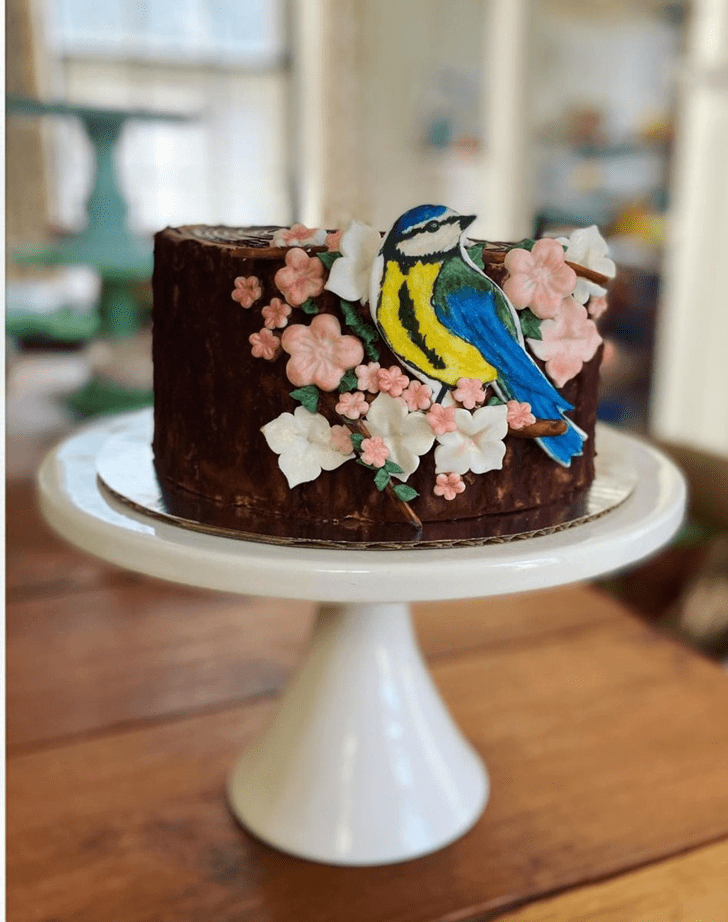 Superb Bird Cake