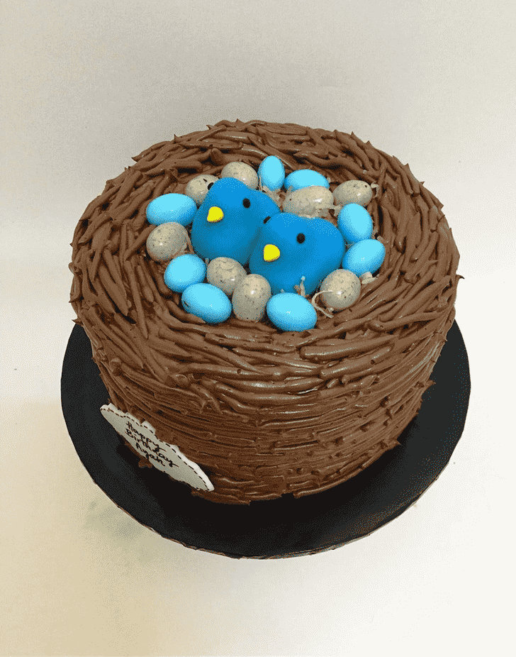 Delicate Bird Nest Cake