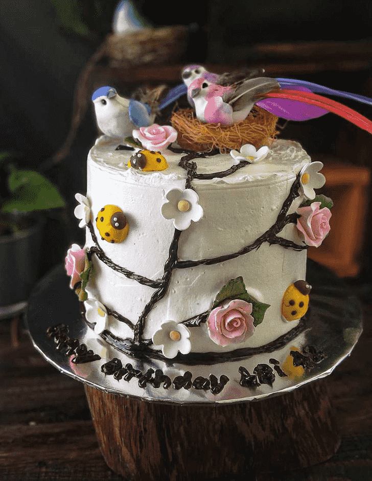 Gorgeous Bird Nest Cake