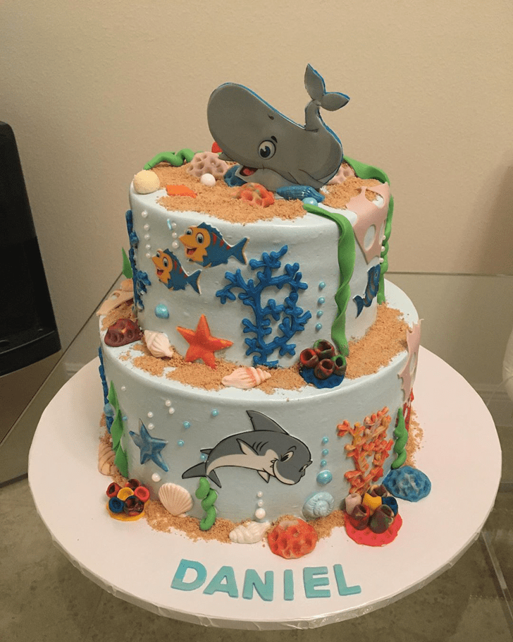 Magnetic Blue Whale Cake