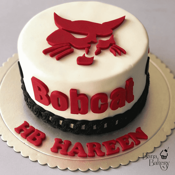 Adorable Bobcat Cake