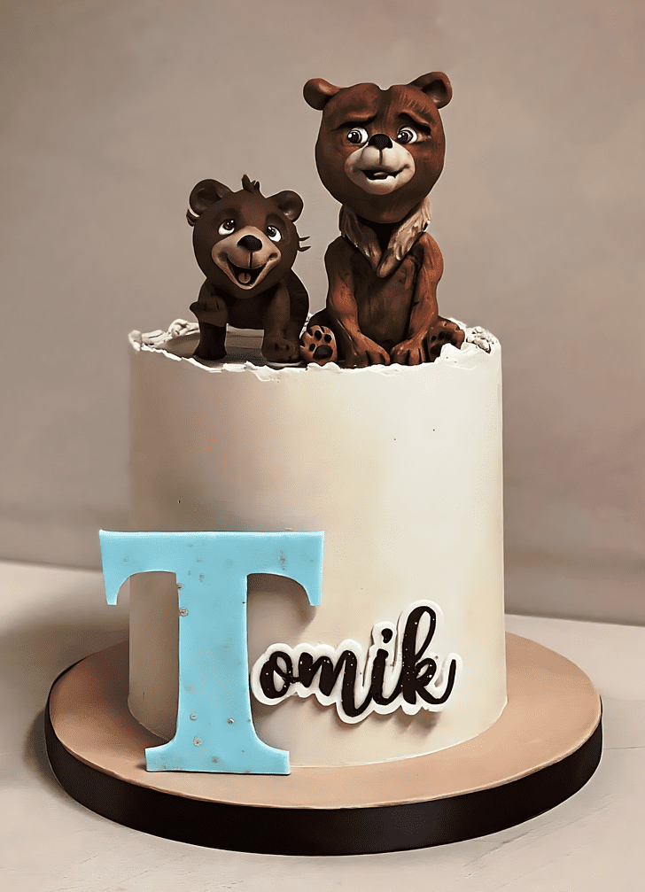 Comely Brother Bear Cake