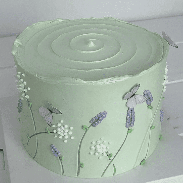 Fetching Butterfly Cake