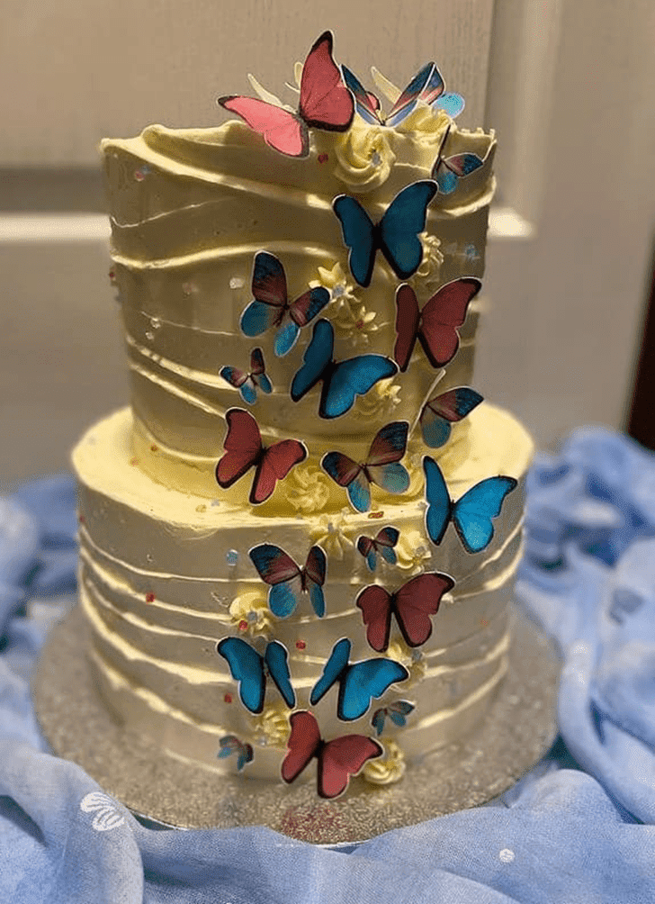 Wonderful Butterfly Cake Design