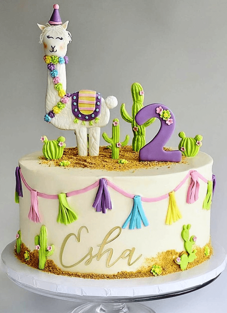 Charming Cactus Cake