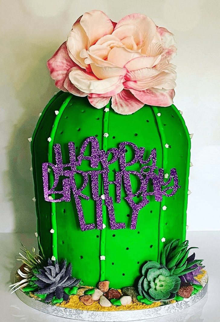 Comely Cactus Cake