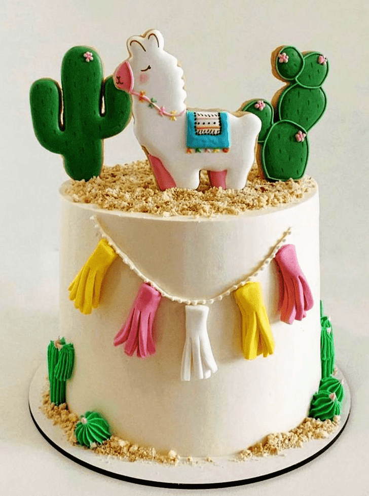 Fair Cactus Cake