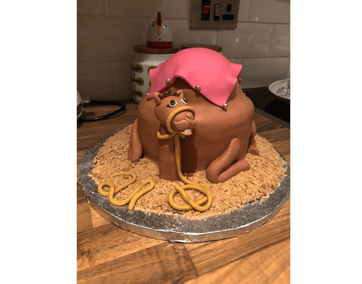 Adorable Camel Cake