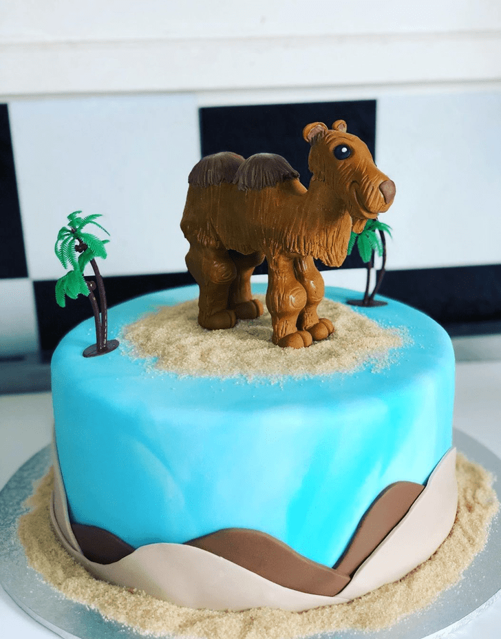 Exquisite Camel Cake