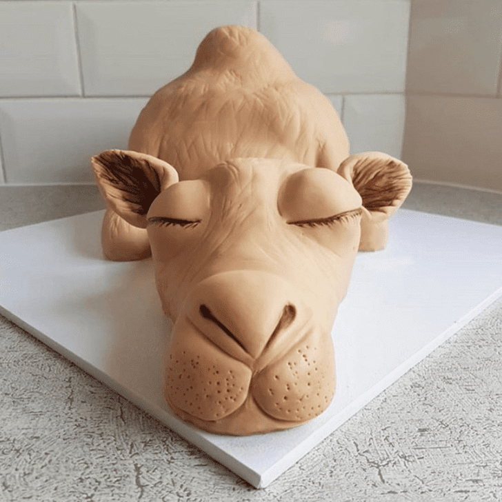 Graceful Camel Cake