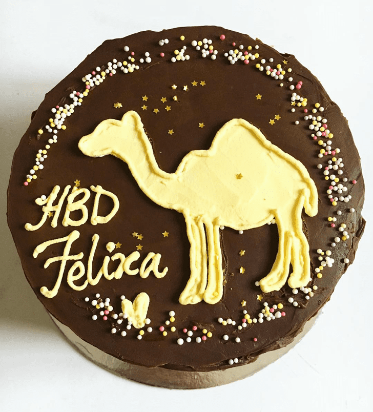 Camelful Camel Cake Design