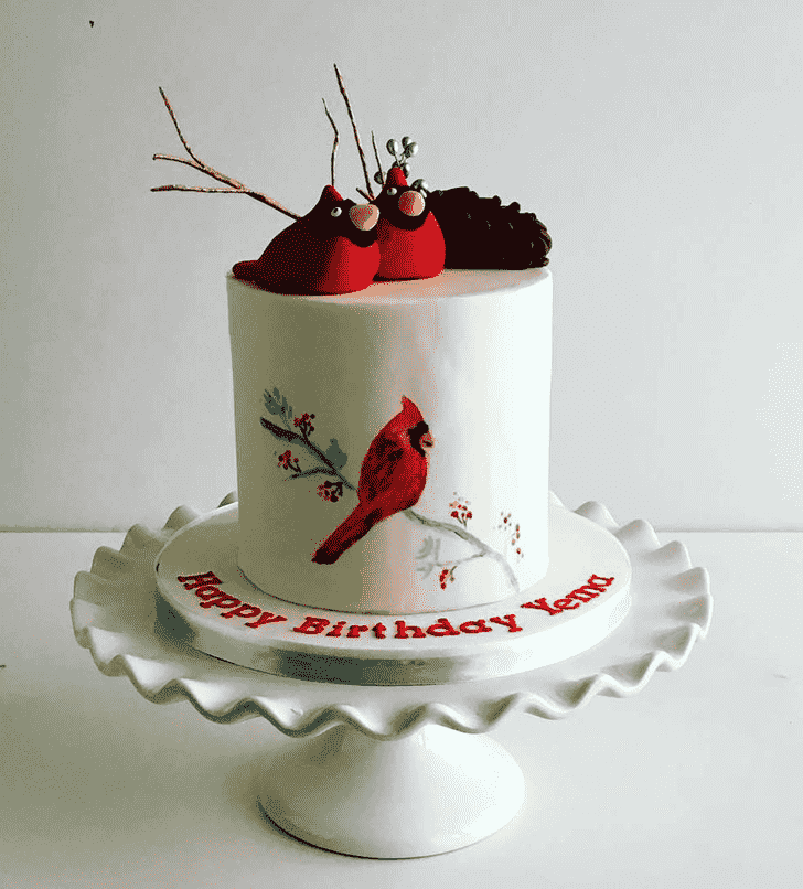 Magnetic Cardinal Cake