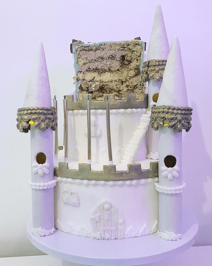 Fetching Castle Cake