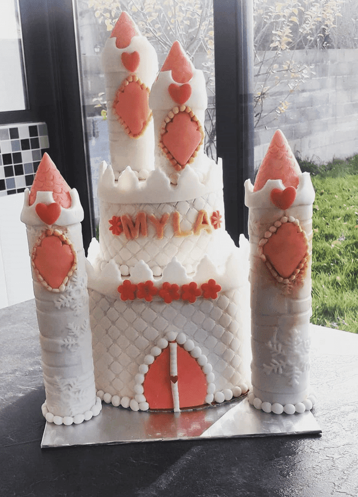 Handsome Castle Cake