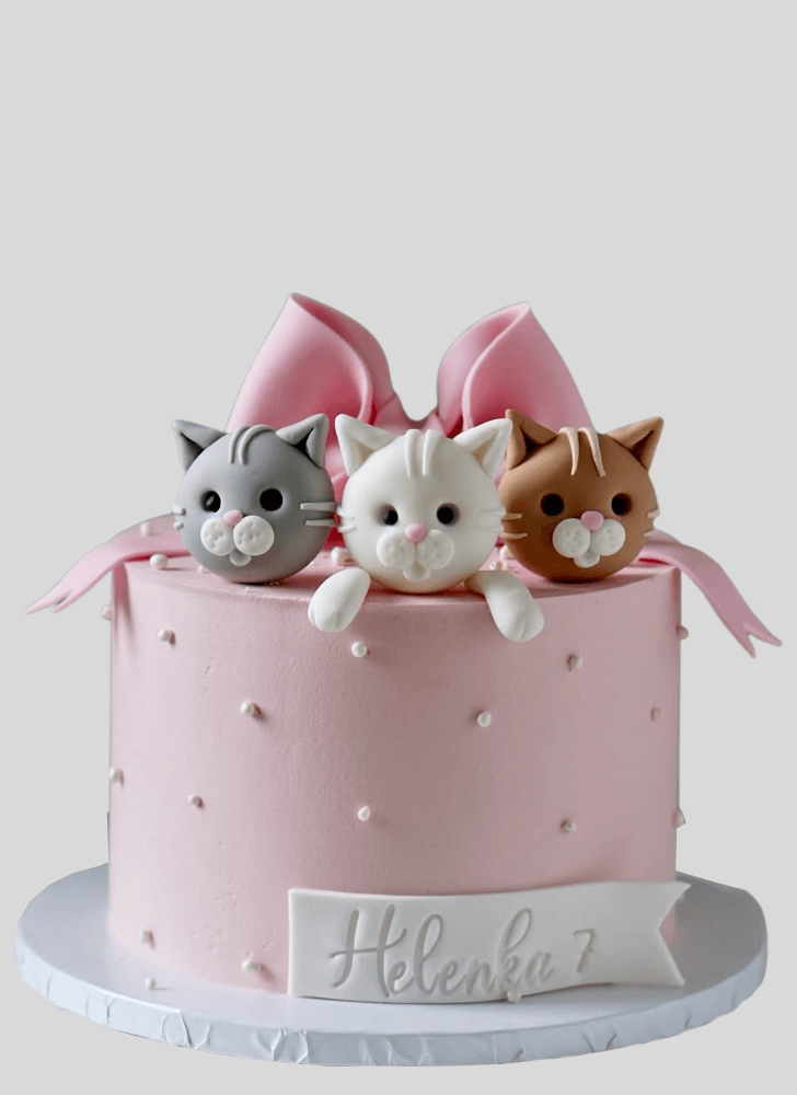 Ideal Cat Cake