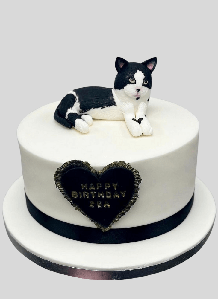 Pretty Cat Cake