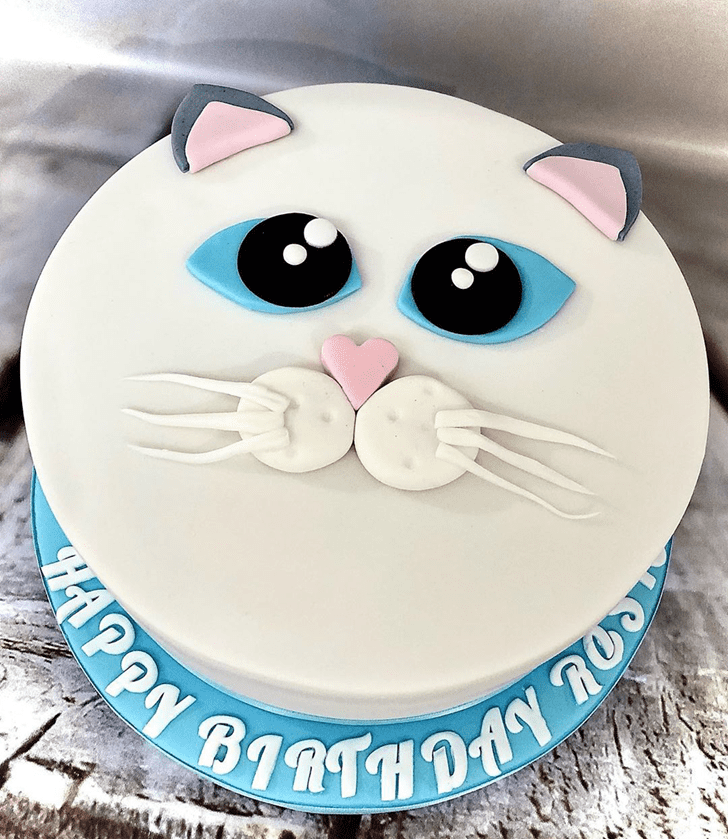 Appealing Cat Cake